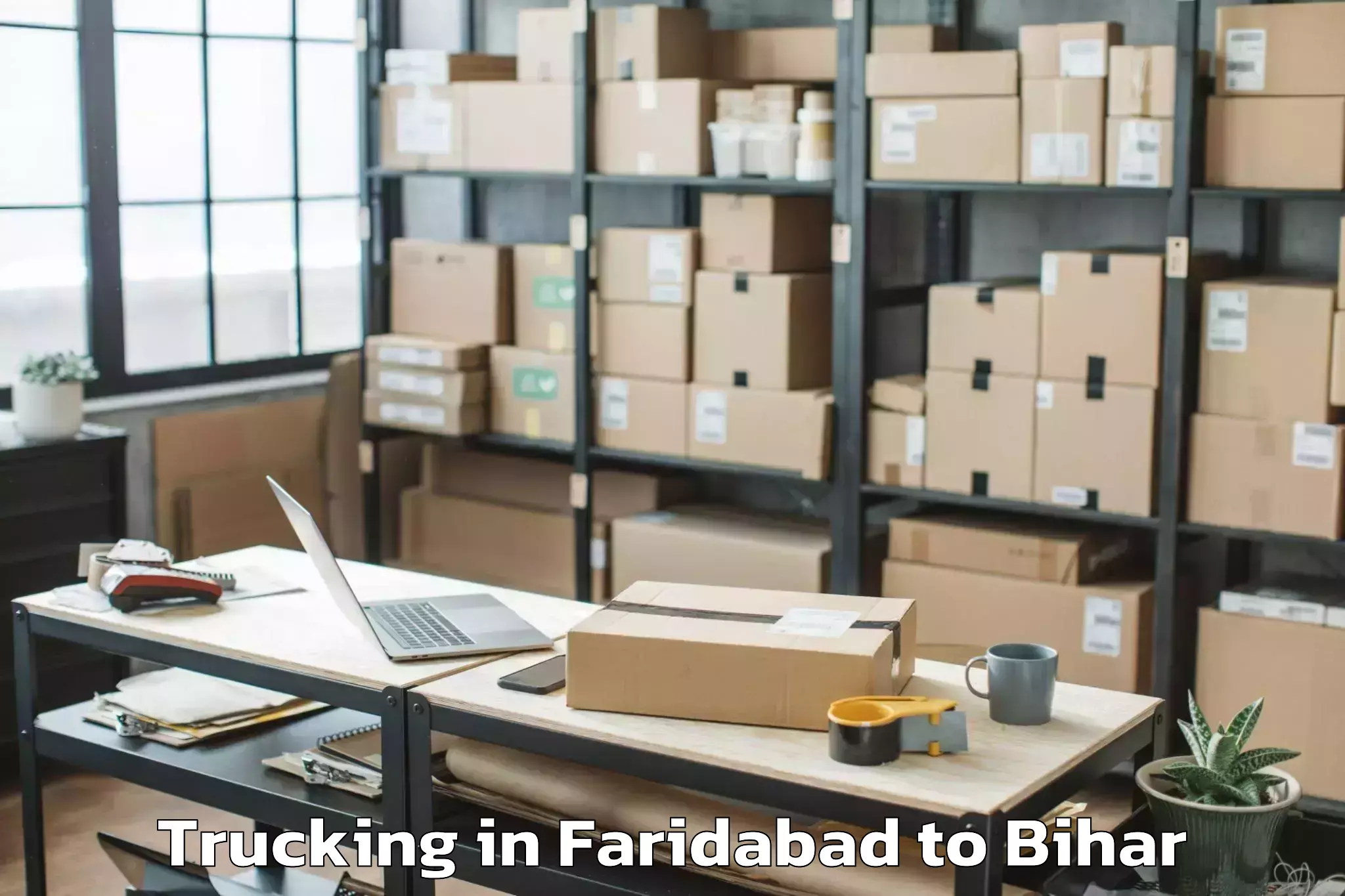 Book Faridabad to Harsidhi Pakariya Trucking